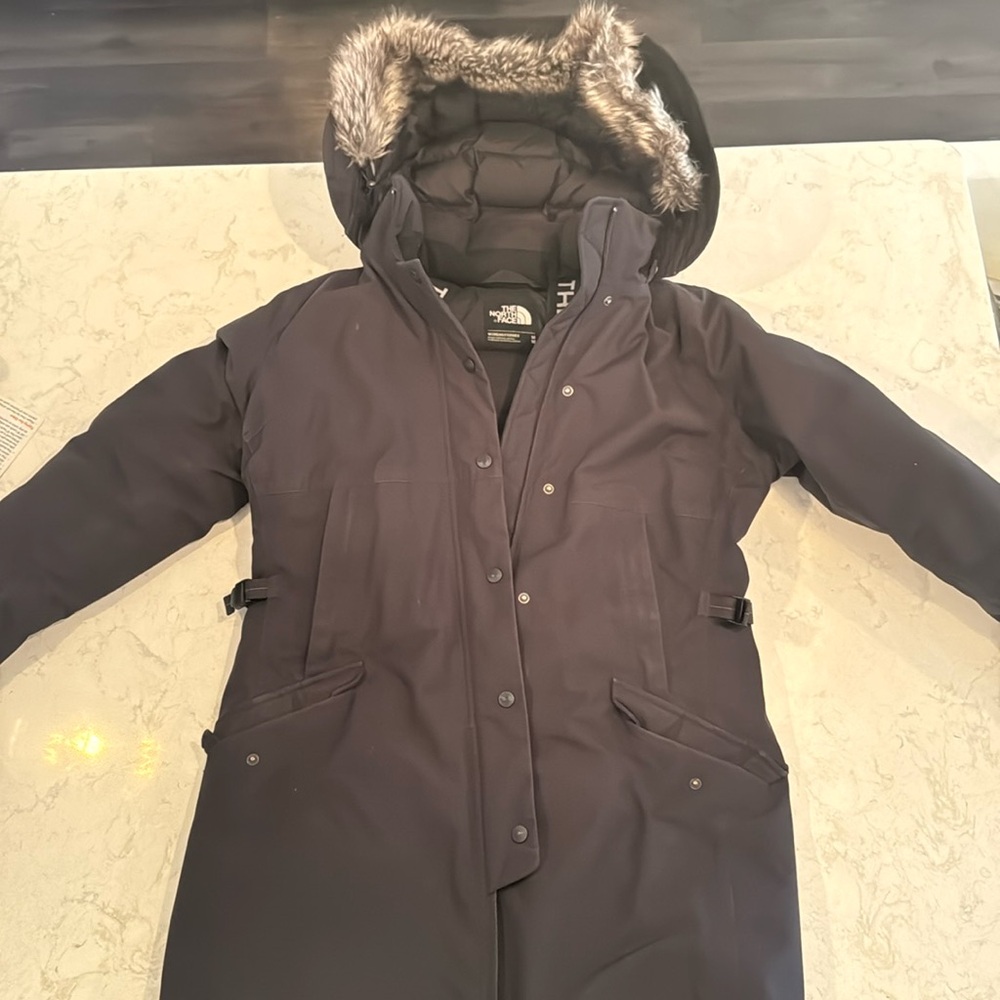 North Face Artic Down Parka